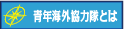 青年海外協力隊とは